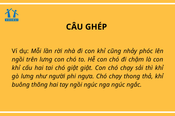 Thế nào là câu ghép? Tìm hiểu toàn diện về các loại câu ghép