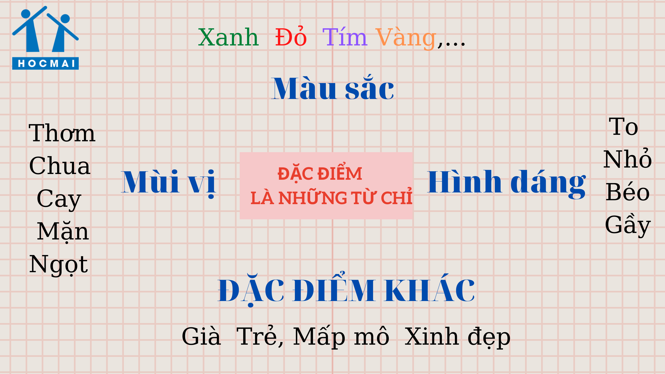 Từ Chỉ Đặc Điểm: Những Từ Đặc Trưng Trong Miêu Tả Và Phân Loại