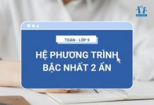 he-phuong-trinh-bac-nhat-2-an-ava
