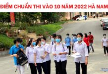 diem-chuan-thi-vao-10-nam-2022-ha-nam (1)