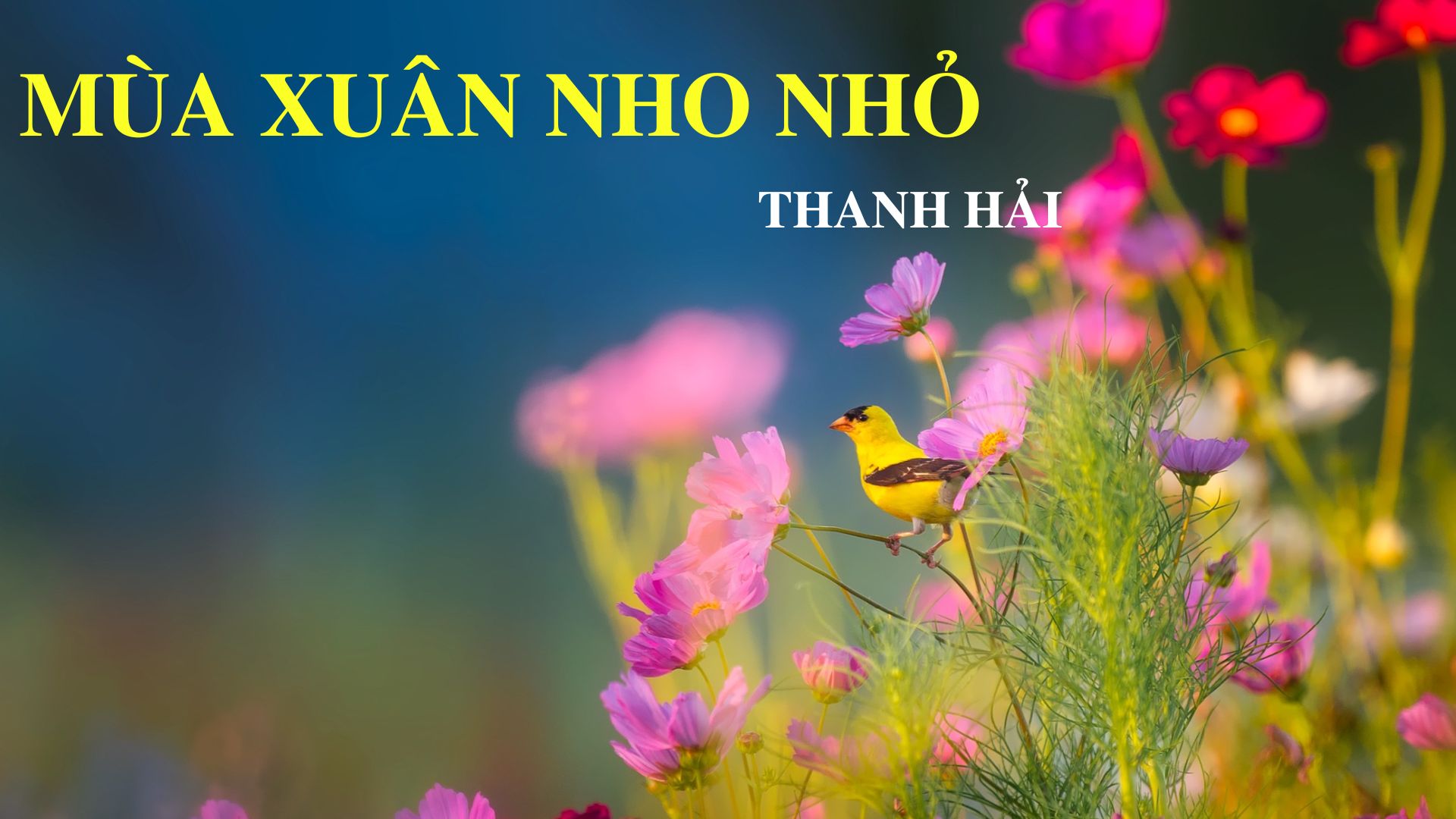 Phân tích bài thơ Mùa xuân nho nhỏ của tác giả Thanh Hải - HOCMAI