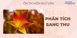 phan-tich-sang-thu