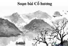 Soan-bai-co-huong