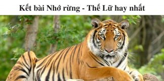 ket-bai-nho-rung