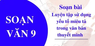 luyen-tap-su-dung-yeu-to-mieu-ta-trong-van-ban-thuyet-minh