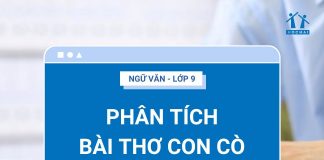 pha-tich-bai-tho-con-co-ava