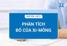 phan-tich-bo-cua-xi-mong-ava