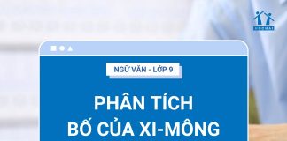 phan-tich-bo-cua-xi-mong-ava