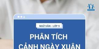 phan-tich-canh-ngay-xuan