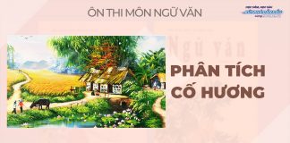 phan-tich-co-huong