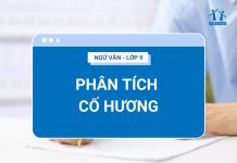 phan-tich-co-huong-ava