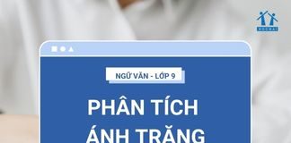 phan-tich-kieu-anh-trang-ava