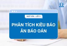 phan-tich-kieu-bao-an-bao-oan-ava