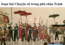 soan-bai-chuyen-cu-trong-phu-chua-trinh