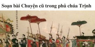 soan-bai-chuyen-cu-trong-phu-chua-trinh