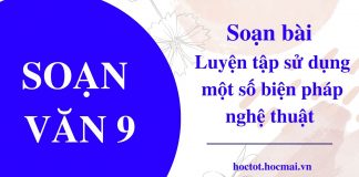 soan-bai-luyen-tap-su-dung-mot-so-bien-phap-nghe-thuat