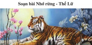 soan-bai-nho-rung