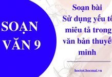 soan-bai-su-dung-yeu-to-mieu-ta-trong-van-ban-thuyet-minh