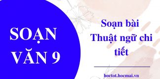 soan-bai-thuat-ngu-chi-tiet