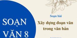 xay-dung-doan-van-trong-van-ban