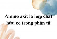 amino-axit-la-hop-chat-trong-phan-tu