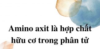 amino-axit-la-hop-chat-trong-phan-tu