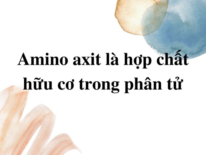 amino-axit-la-hop-chat-trong-phan-tu