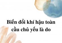 bien-doi-khi-hau-toan-cau-chu-yeu-la-do