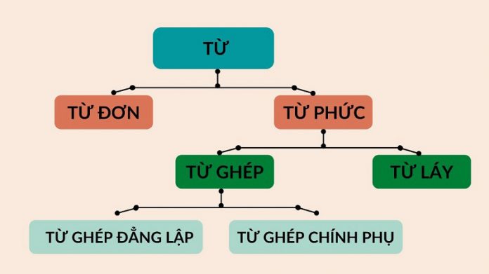 Tổng Hợp Kiến Thức Từ Vựng Tiếng Việt: Khái Niệm, Phân Loại