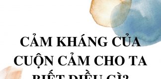 cam-khang-cuon-cam-cho-ta-biet-dieu-gi