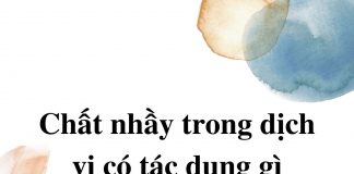 chat-nhay-trong-dich-vi-co-tac-dung