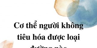 co-the-con-nguoi-khong-tieu-hoa-duoc-loai-duong-nao