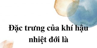 dac-trung-cua-khi-hau-nhiet-doi-la