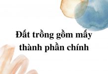 dat-trong-gom-may-thanh-phan-chinh