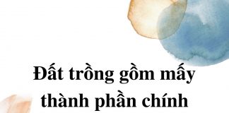 dat-trong-gom-may-thanh-phan-chinh