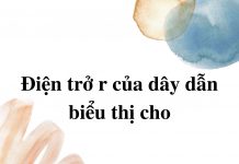 dien-tro-r-cua-day-dan-bieu-thi-cho