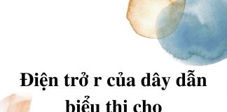 dien-tro-r-cua-day-dan-bieu-thi-cho