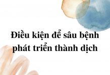 dieu-kien-de-sau-benh-phat-trien-thanh-o-dich