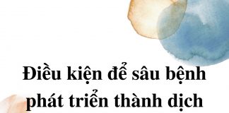 dieu-kien-de-sau-benh-phat-trien-thanh-o-dich