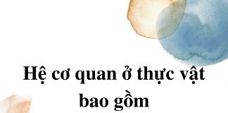 he-co-quan-o-thuc-vat-bao-gom