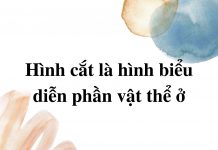 hinh-cat-la-hinh-bieu-dien-phan-vat-the-o