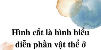 hinh-cat-la-hinh-bieu-dien-phan-vat-the-o