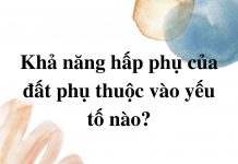 kha-nang-hap-thu-cua-dat-phu-thuoc-vao