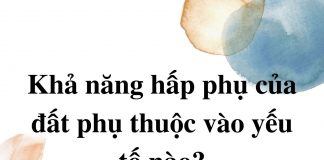 kha-nang-hap-thu-cua-dat-phu-thuoc-vao