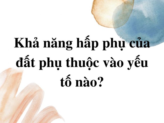 kha-nang-hap-thu-cua-dat-phu-thuoc-vao