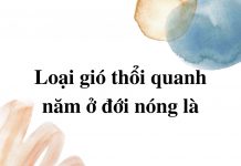 loai-gio-thoi-quanh-nam-o-doi-nong-la