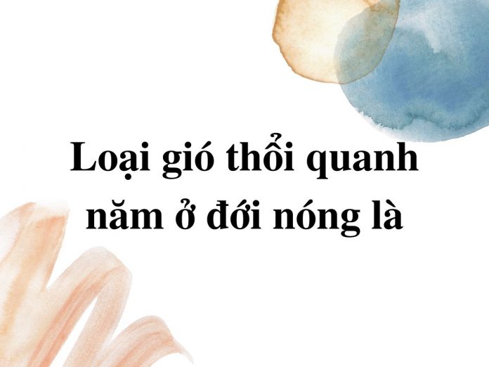 loai-gio-thoi-quanh-nam-o-doi-nong-la