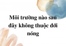 moi-truong-nao-sau-day-thuoc-doi-nong