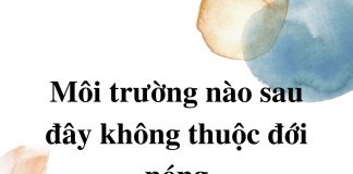 moi-truong-nao-sau-day-thuoc-doi-nong