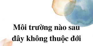 moi-truong-nao-sau-day-khong-thuoc-moi-truong-on-hoa